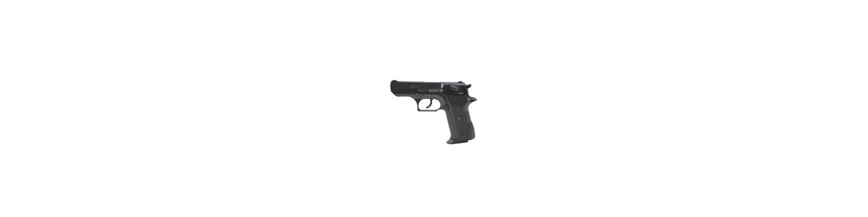 Holster für Record COP – diskret aber sofort griffbereit