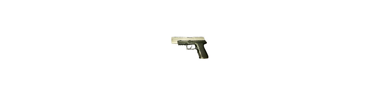 P250 Carry