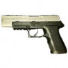 P250 Carry