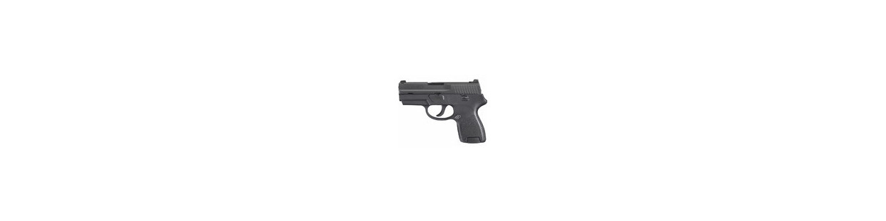 P250 Sub Kompakt