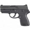P250 Sub Kompakt