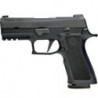 P320 X Carry
