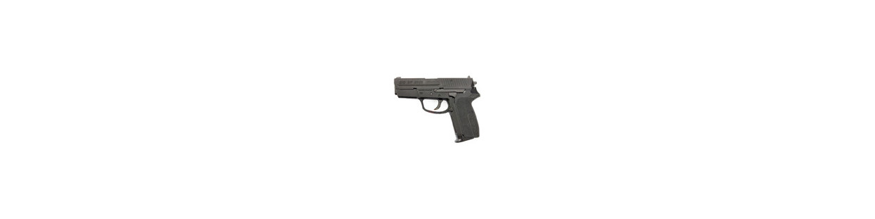 Sig Pro SP 2009