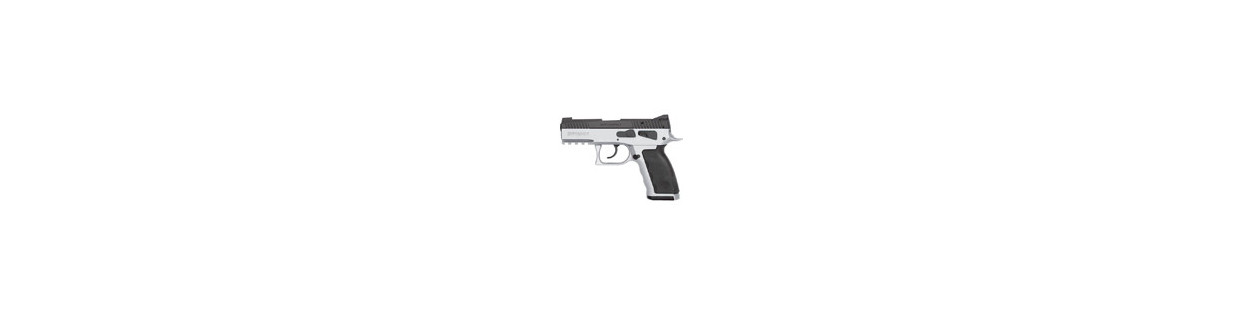 Holster pour Sphinx SDP Compact – Haute rétention, stable