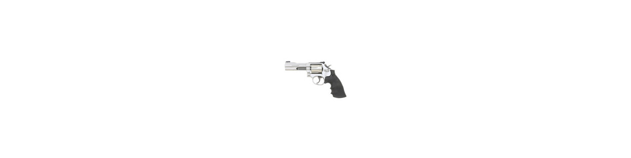 Holster for Smith&Wesson 617 – All-Season Durable